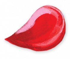 Rose petal